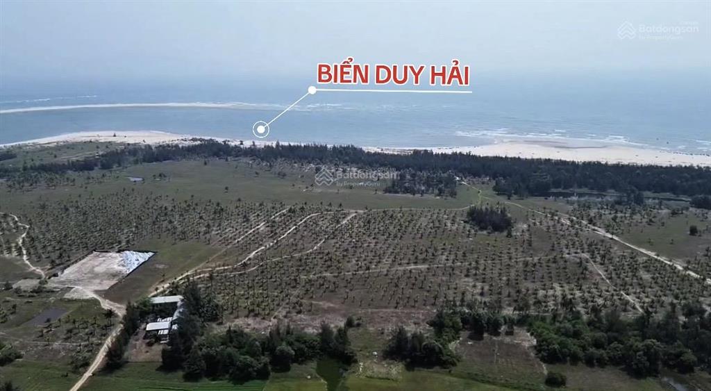 Đất vườn siêu phẩm tại xã duy nghĩa (duy hải cũ),sát biển đà nẵng cơ hội đầu tư không thể bỏ lỡ!