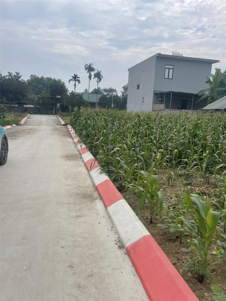 Chính chủ cần bán gấp lô đất đẹp tại mỹ lương, chương mỹ. giá đầu tư chỉ 1,55 tỷ
