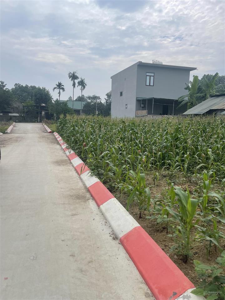 Chính chủ cần bán gấp lô đất đẹp tại mỹ lương, chương mỹ. giá đầu tư chỉ 1,55 tỷ