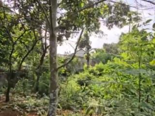 Bán đất đẹp gò trạng, xã cư yên, huyện lương sơn, tỉnh hòa bình  quy hoạch đường 16m