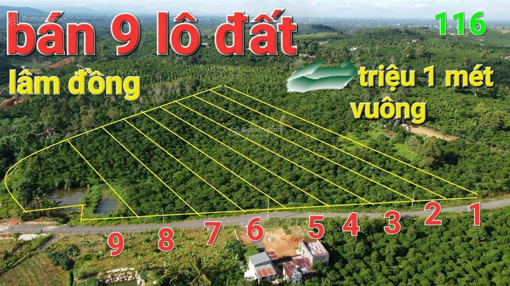 Đất đẹp bảo lâm 2  qh thổ cư, 126m2 mặt tiền, đường nhựa 6m, giá đầu tư