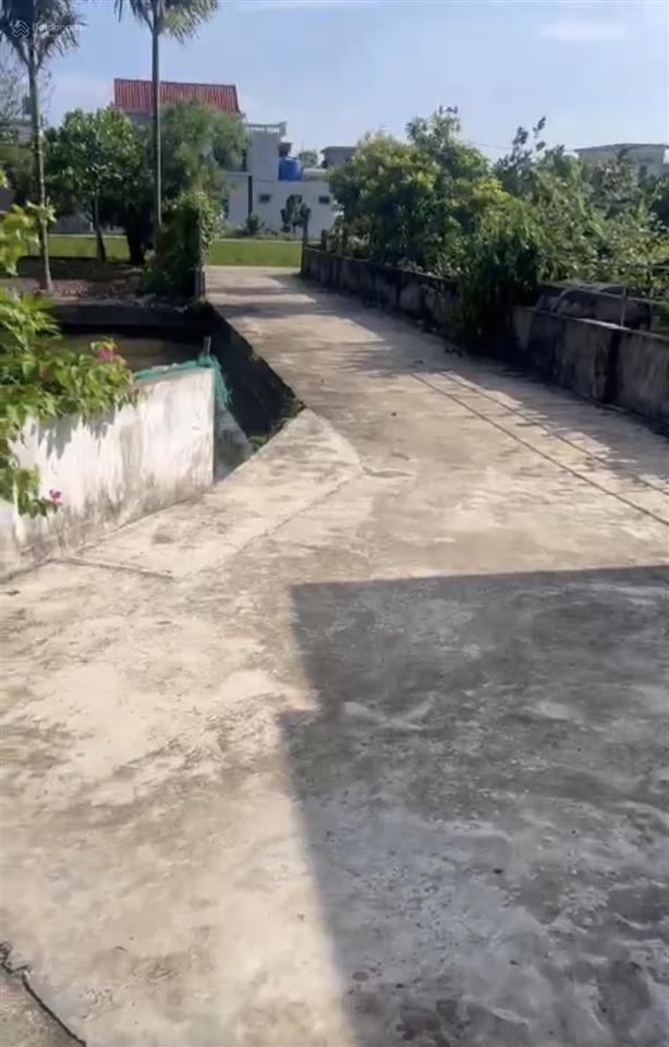 Hàng vipp phân lô 800 thổ cư, ngõ oto
