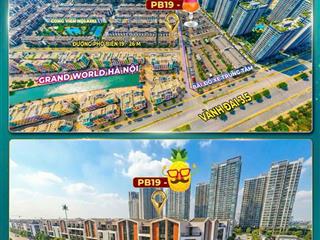 HÀNG HIẾM 15 TỶ HÀNG GỐC CHỦ ĐẦU TƯ TRỤC KINH DOANH – PB19 OCEAN CITY - VỪA Ở VỪA KINH