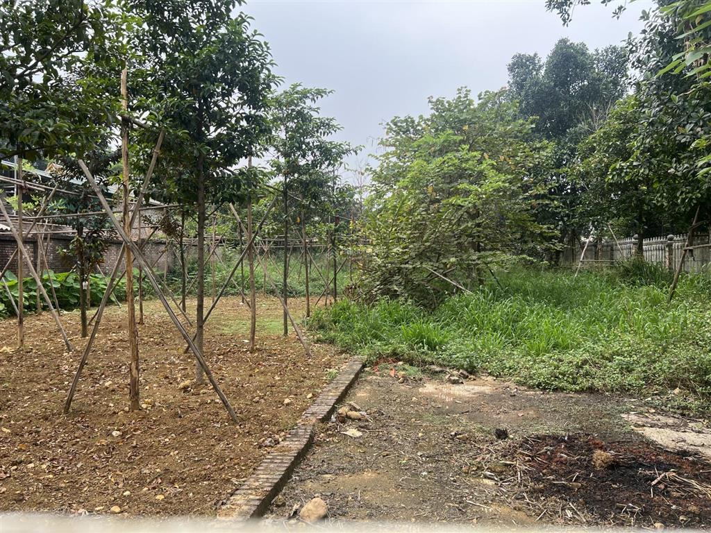 Chính chủ bán gấp, lô 1000m2 vị trí đẹp, gần đường vành đai 5, trục chính xã