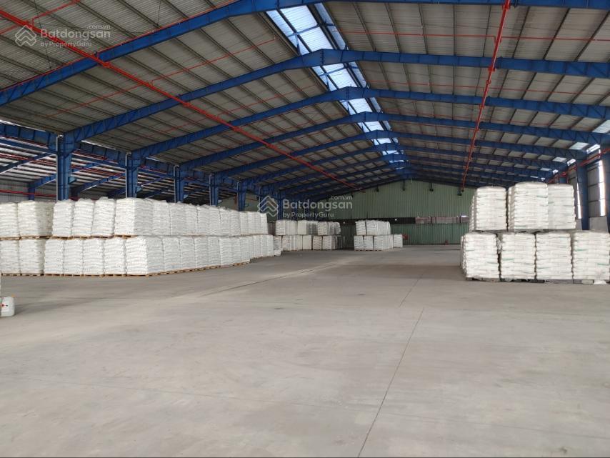 Cho thuê kho  kho dịch vụ 5.000m2 tại đức hòa giáp bình chánh, tp. hcm  pccc tự động