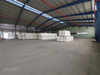 Cho thuê kho  kho dịch vụ 5.000m2 tại đức hòa giáp bình chánh, tp. hcm  pccc tự động