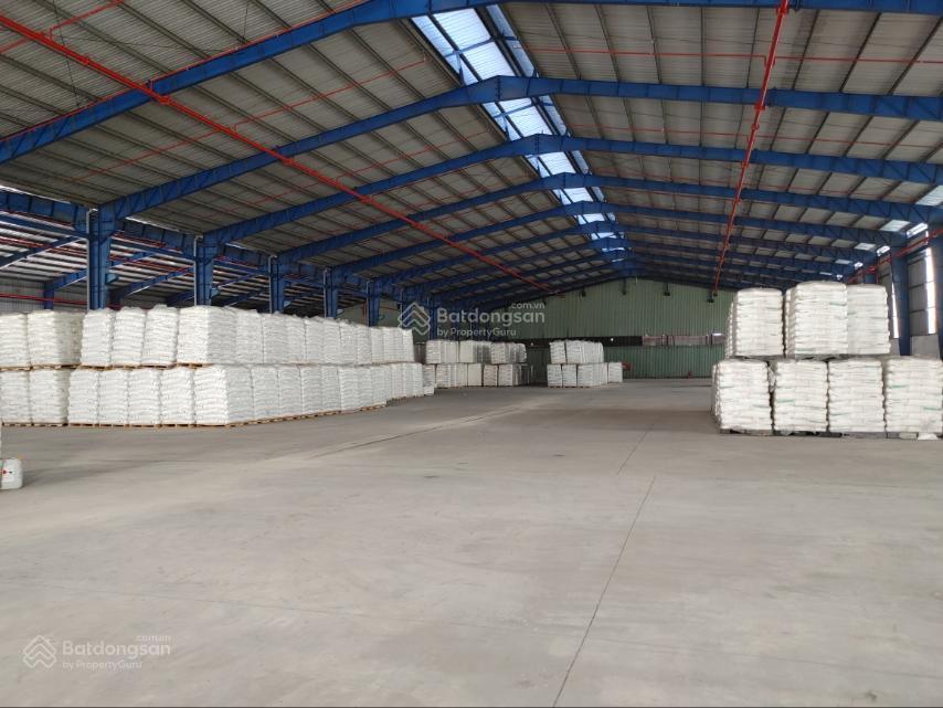 Cho thuê 1000m2 kho dịch vụ và tự quản mặt tiền tỉnh lộ 10 đức hòa môi trường, pccc bảo vệ an ninh