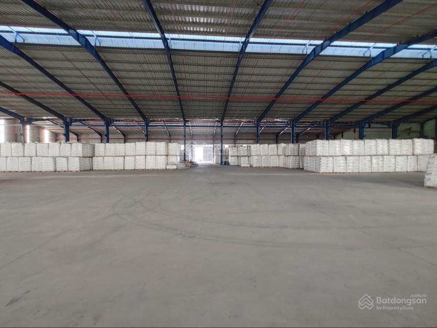 Cho thuê 1000m2 kho dịch vụ và tự quản mặt tiền tỉnh lộ 10 đức hòa môi trường, pccc bảo vệ an ninh