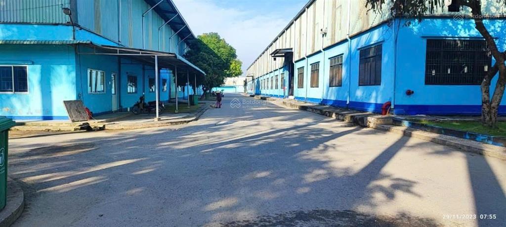 Cho thuê 1 500m2 kho dịch vụ, kho tự quản ccn đức hòa tỉnh lộ 10 pccc bảo vệ an ninh giá tốt