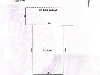 Bán đất biệt thự hồ đông trục lê hồng phong | chỉ 65 tr/m vị trí đắc địa, ngay cục hải quan, doji..