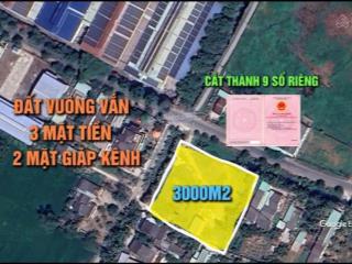 Bán 3000m2 đất góc 2 mặt tiền tthc tân an, phường khánh hậu, tây ninh