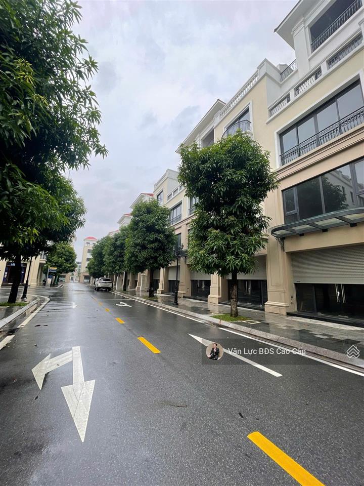 Hàng hiếm! bán shophouse 100m2 đẹp trục 51m dlsh giá 14.1 tỷ