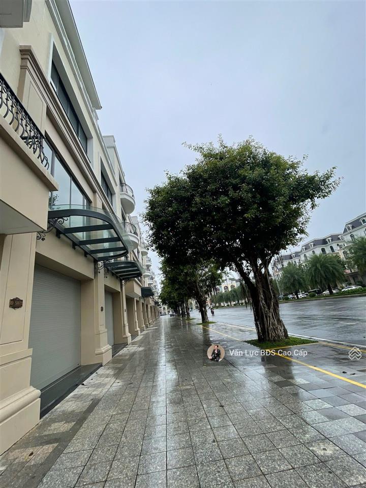 Hàng hiếm! bán shophouse 100m2 đẹp trục 51m dlsh giá 14.1 tỷ