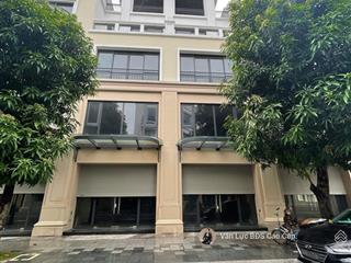 Hàng hiếm! bán shophouse 100m2 đẹp trục 51m dlsh giá 14.1 tỷ