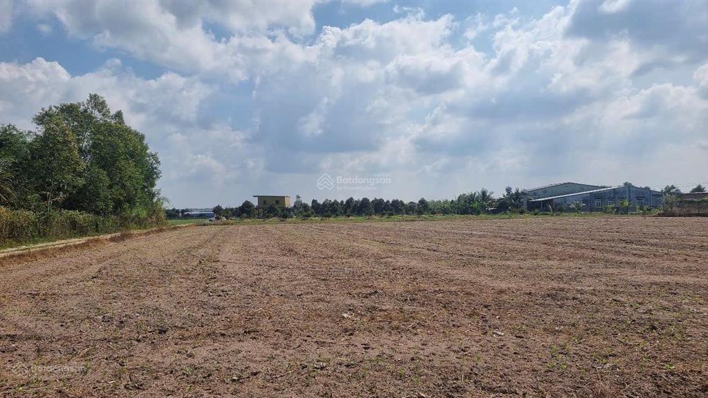 Bán đất tại đt 782, bàu đồn, gò dầu, tây ninh 1,15 tỷ, 724m2