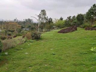 Bán đất thương mại tại thị trấn mậu a, 18,8 triệu / m2, 1640 m2 hàng hot bao đẹp