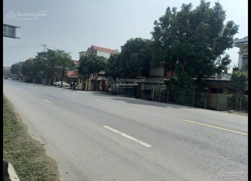 Cần bán đất giá tốt đầu cầu môi, xã an vũ, quỳnh phụ, thái bình, dt 281m2, giá 48tr/m2