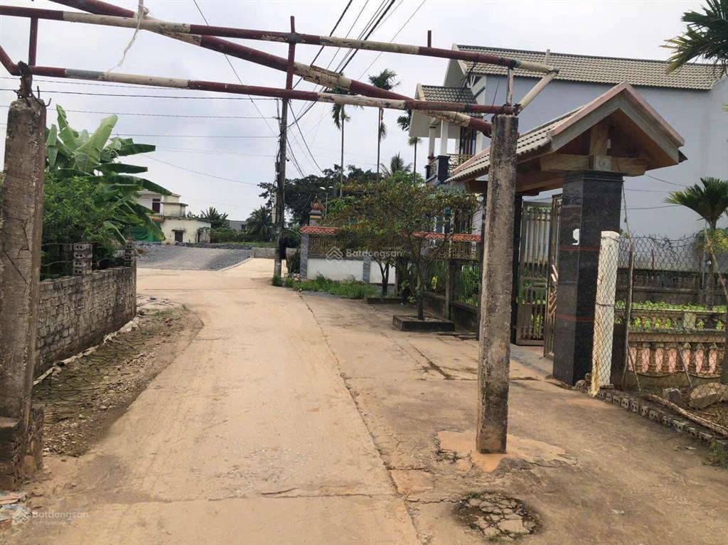 Bán đất tại xã quang trung, 12 triệu / m2, 800 m2, giá ưu đãi, nhiều tiện ích