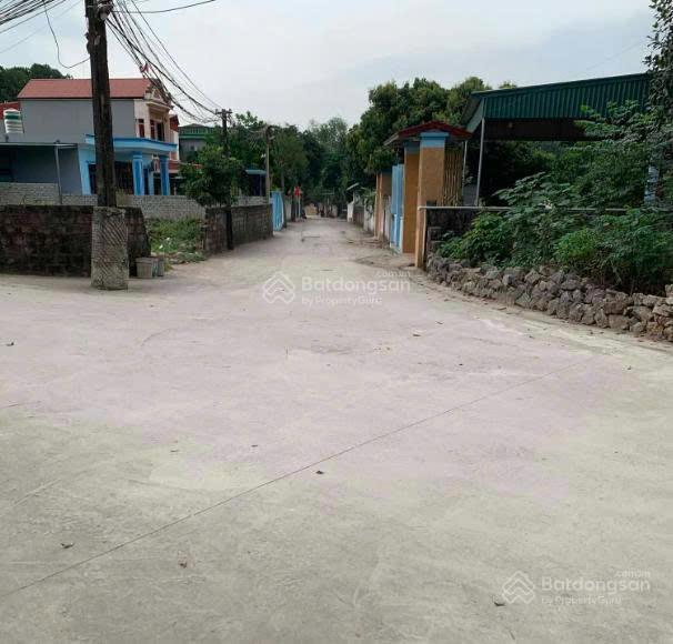 Đất nền tại quang trung, thị xã bỉm sơn, thanh hóa, 9,7 tỷ, 920m2 giá ưu đãi uy tín