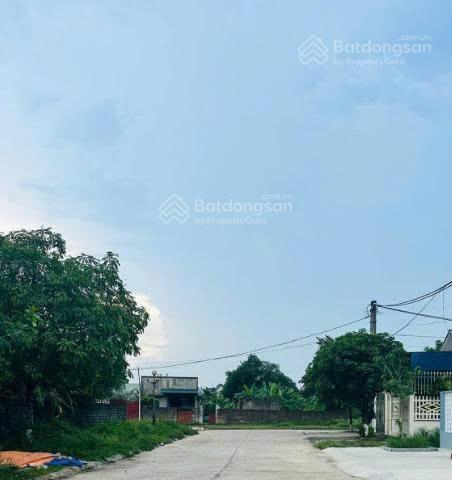 Bán đất đẹp xuất sắc ở xã quang trung, 10 triệu / m2, 988 m2