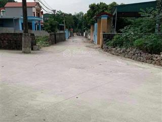Bán đất hàng hiếm tại xã quang trung, 10,5 triệu / m2, 980 m2