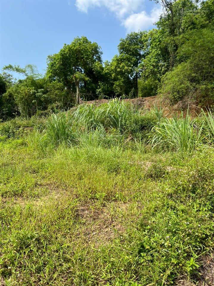 Bán đất tại phường yên thọ, 14,2 tỷ, 950 m2, phong thủy tốt, pháp lý đầy đủ