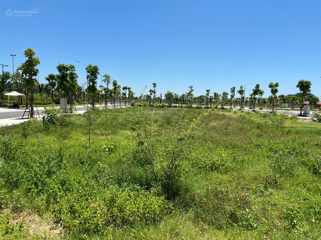 Bán đất tại thôn chợ, cẩm bình, 6,2 tỷ, 340m2, mặt tiền 12m, pháp lý đầy đủ
