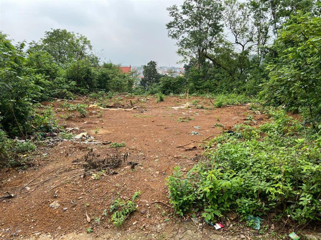 Bán đất tại thôn chợ, xã cẩm bình, 17,5 triệu / m2, 316 m2, pháp lý đầy đủ, chính chủ