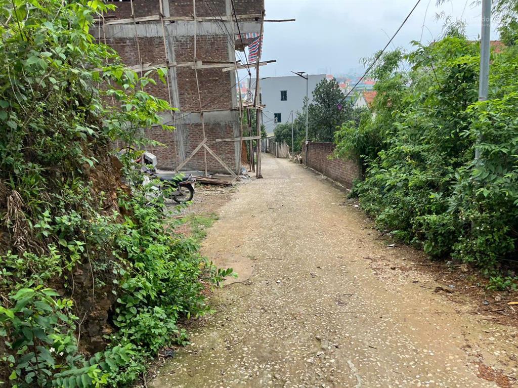 Bán đất tại thôn chợ, xã cẩm bình, 17,5 triệu / m2, 316 m2, pháp lý đầy đủ, chính chủ
