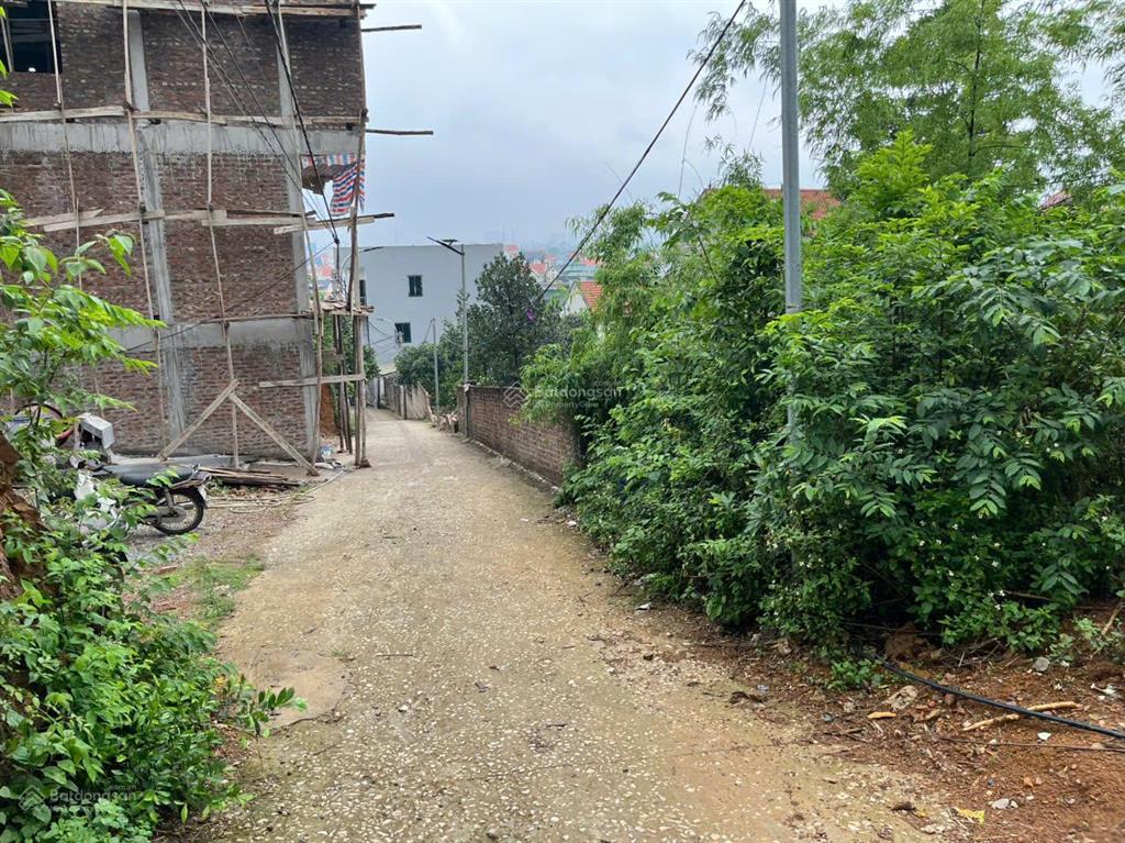 Bán đất tại thôn chợ, cẩm bình, huyện cẩm thủy, thanh hóa, 6 tỷ, 360m2