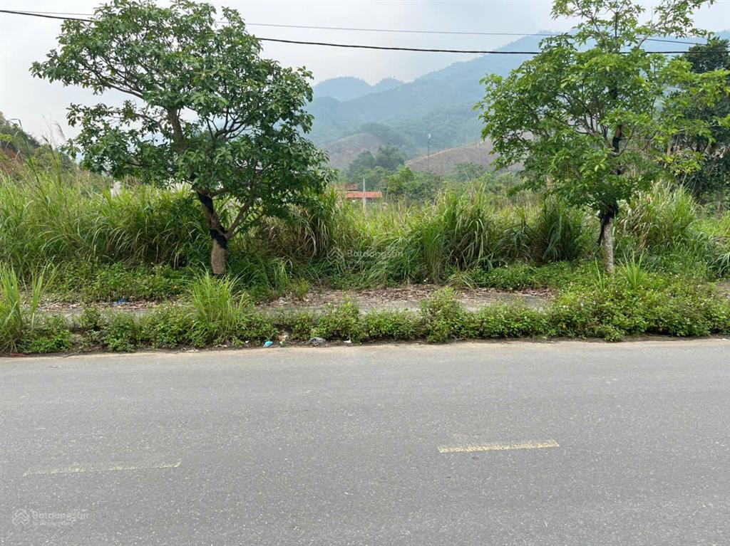 Chính chủ cần bán đất thôn chợ, cẩm bình, cẩm thủy, giá đầu tư, sổ đỏ sang tên ngay