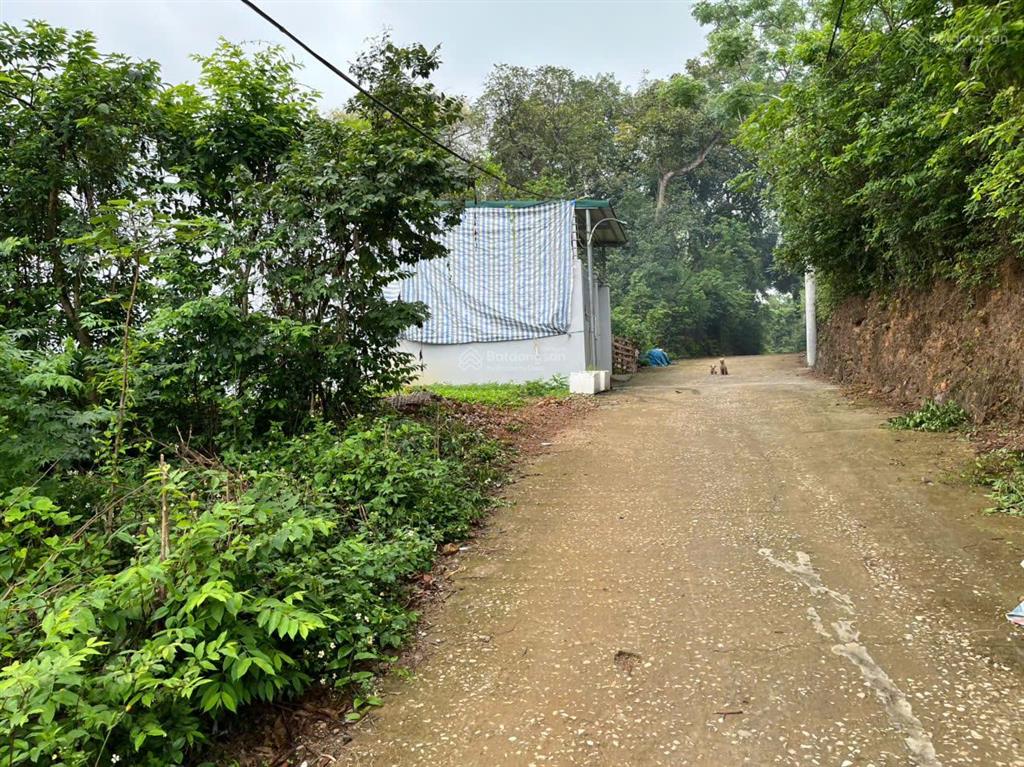 Bán đất tại thôn chợ, cẩm bình, cẩm thủy, thanh hóa, 6,3 tỷ, 373m² giá tốt