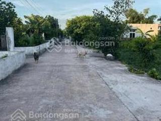 Chính chủ bán đất thôn an thọ, thanh tân, kiến xương, thái bình, dt 281m², full thổ cư