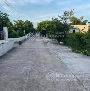 Bán đất tại thôn an thọ, thanh tân, kiến xương, thái bình, 28,2 triệu / m2, 295 m2 full thổ cư