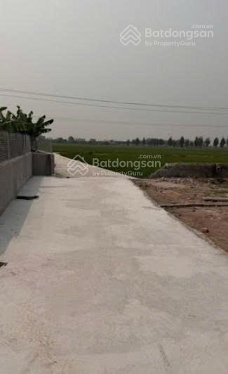 Bán đất tại thôn an thọ, thanh tân, kiến xương, thái bình, 28,2 triệu / m2, 295 m2 full thổ cư