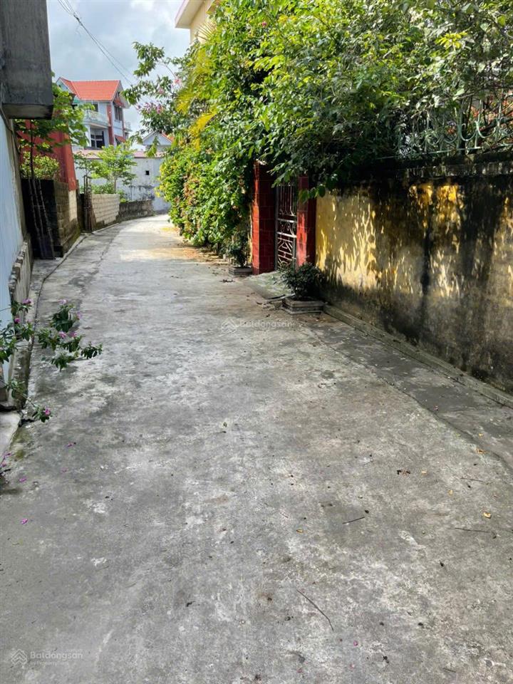 Bán đất tại thôn an thọ, xã thanh tân, kiến xương, thái bình 27 triệu / m2, 303.5 m2, giá siêu hời