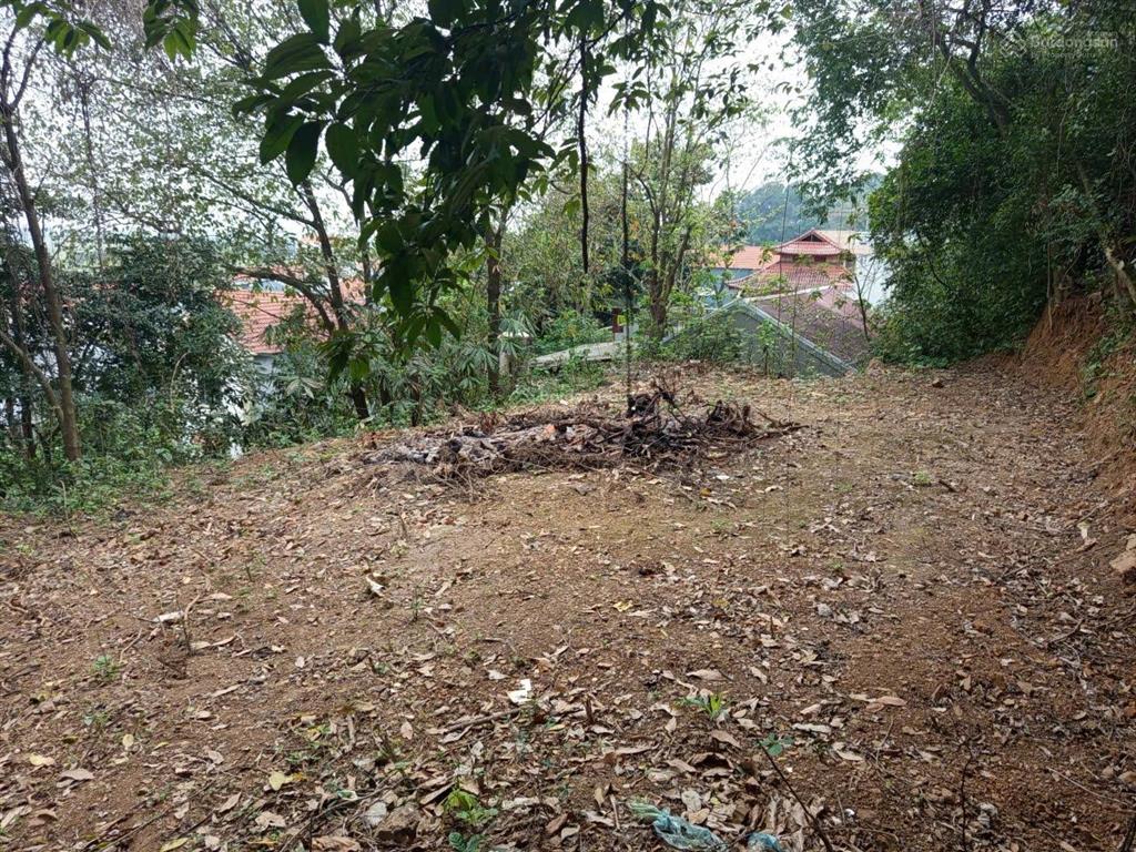 Bán gấp đất nền 300m2 tại xã cộng hòa, 38 triệu / m2
