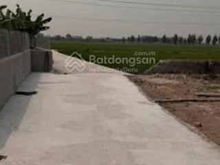 Bán đất đẹp xuất sắc tại thôn bắc sơn, quỳnh thọ, 14,5 triệu / m2, 228 m2