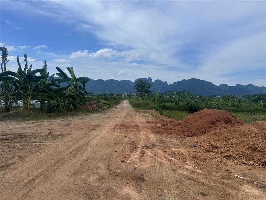 Bán đất tại thôn chợ, cẩm bình, 6,2 tỷ, 430m2, mặt tiền 12m, pháp lý đầy đủ