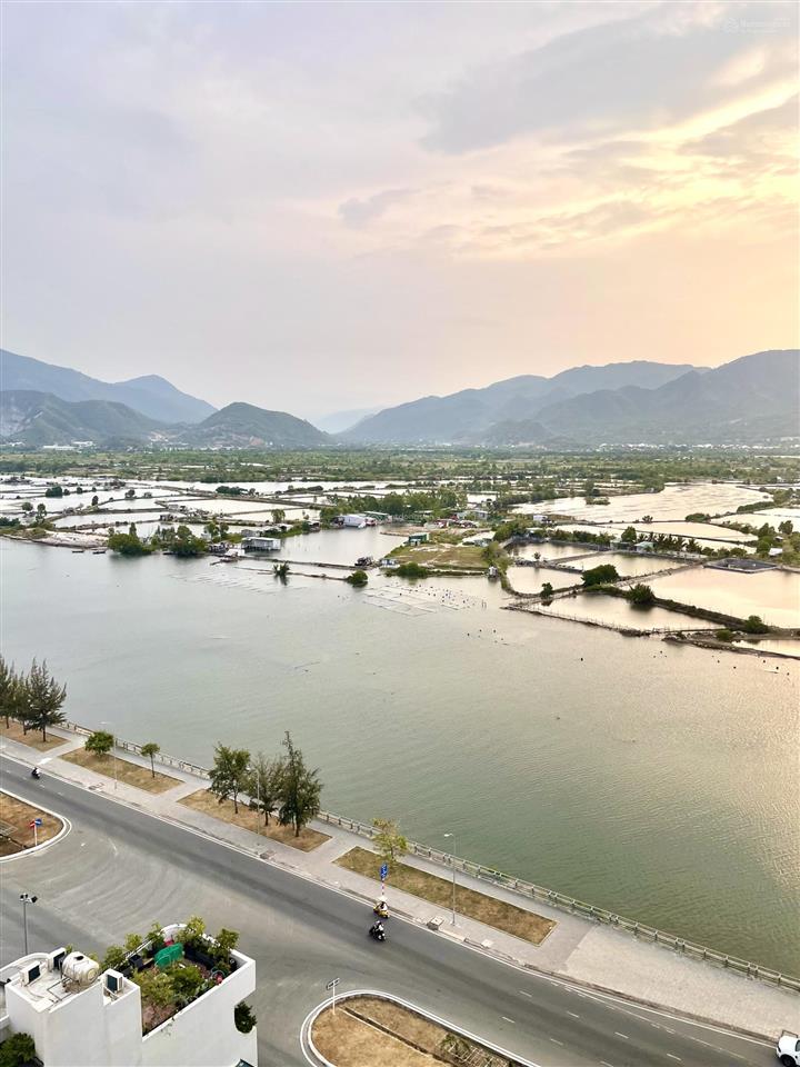Bán căn 1 phòng ngủ full nội thất ct1riverside view sông, giá tốt