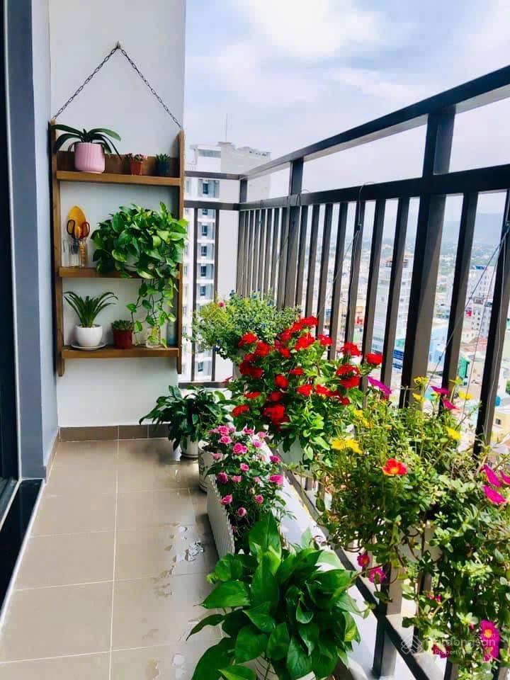 Bán căn góc căn hộ dqua 2pn2wc view phố và chợ đầm.