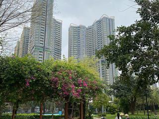 Chủ nhà bán gấp căn 3pn 88m2 tòa a1 giá 9,28 tỷ lumiere evergreen.  0974 690 ***