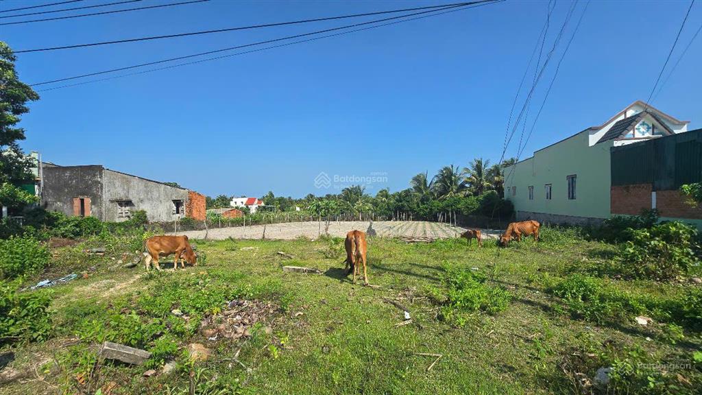Bán đất gần biển  800m² có thổ cư sẵn, đường nguyễn thông giá chỉ 3 tỷ!