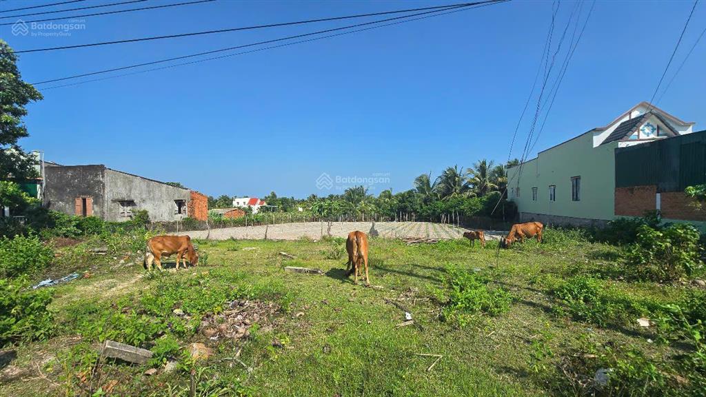 Bán đất gần biển  800m² có thổ cư sẵn, đường nguyễn thông giá chỉ 3 tỷ!