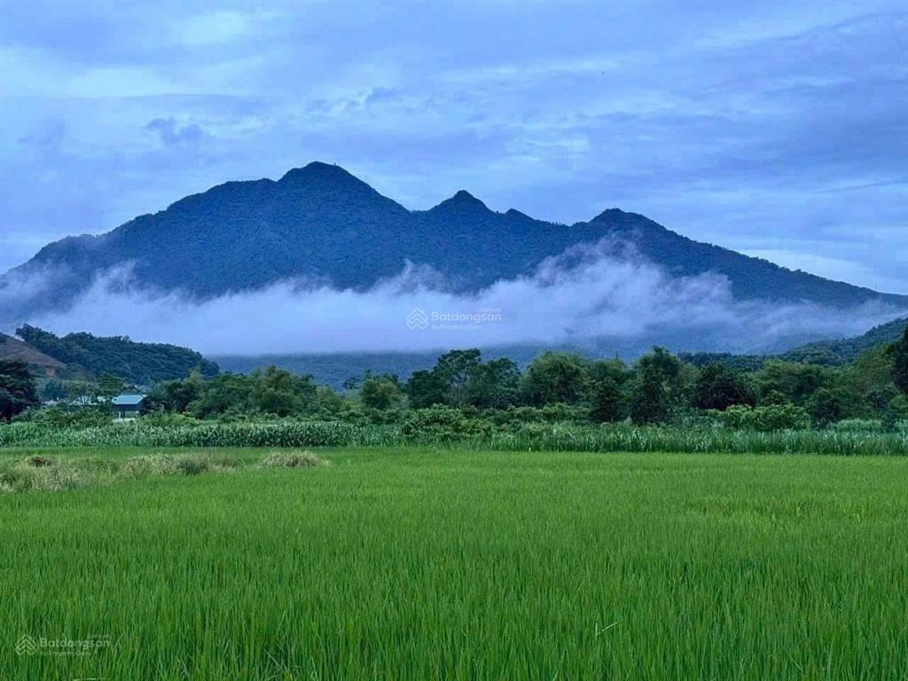4,2 tỷ sở hữu ngay lô đất đẹp 720m2, 150m2 thổ cư, mt 17.6m, đường thông, view núi bám cánh đồng