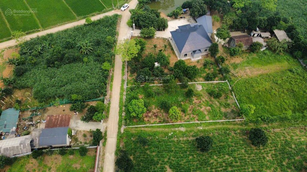 Nhỉnh 4 tỷ sở hữu ngay lô góc 600m2, có 150m2 thổ cư, view cánh đồng, vị trí đẹp