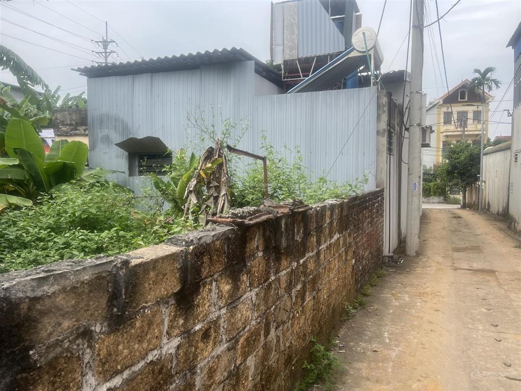 Bán đất thổ cư 86,8m2 mặt tiền 5m ngõ 90, ô tô vào được