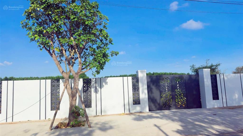 Bán đất ngay đường nguyễn huệ xã đất đỏ tp hcm dt 515m2, 11m x 46m sẵn 80m2 thổ cư đã xây rào