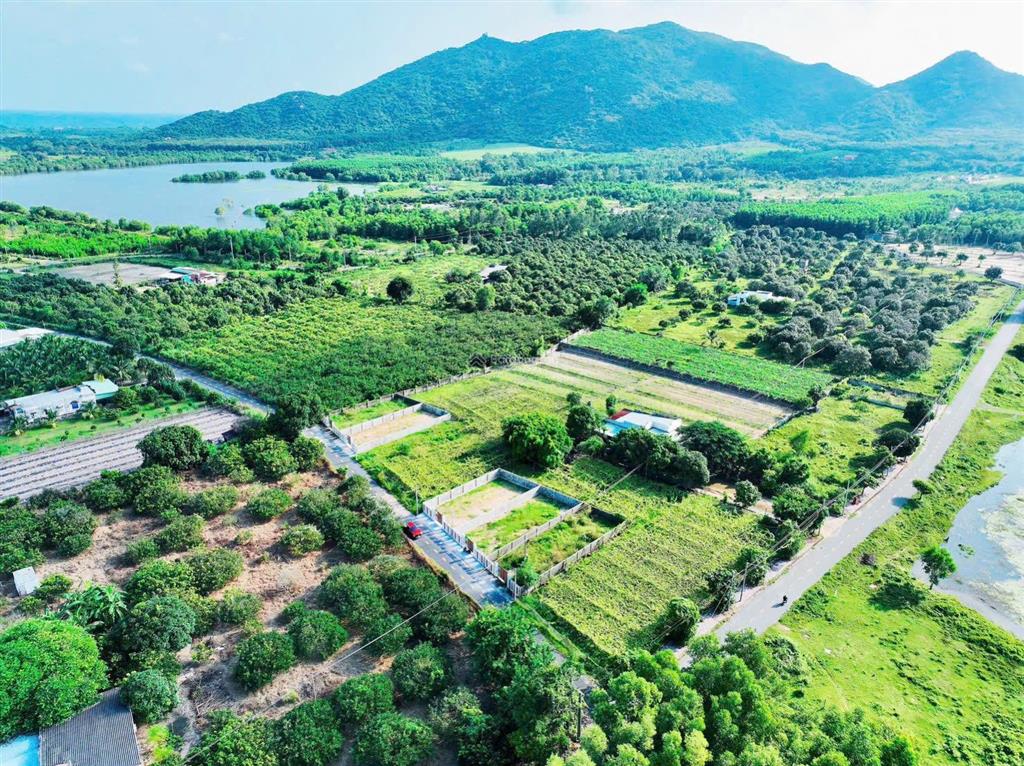 Đât thị trấn phước hải ngay hồ sở bông cách lan rừng resort chỉ 3km
dt 10x26m  258m2 100m2