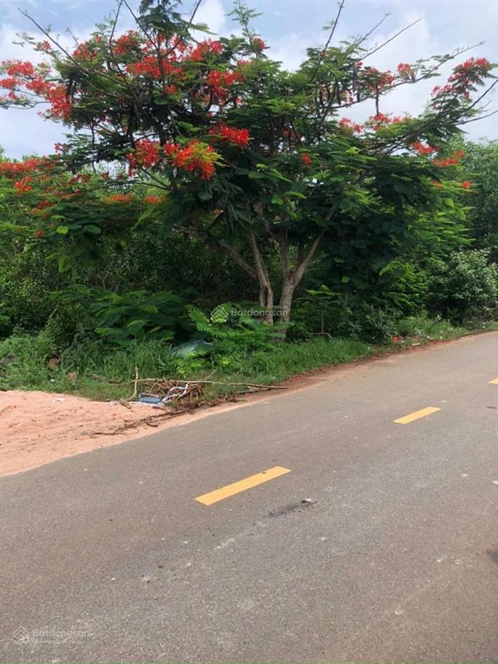 Chính chủ gửi bán lô đất mặt tiền đường nhựa long tân láng dài, phước long thọ đất đỏ  tphcm